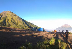Menelusuri Kecantikan dan Keketatan Gunung Kembang, Gunung Primadona Para Pendaki