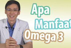 Ini Dia Beberapa Manfaat Omega-3 untuk Kesehatan yang Tidak Boleh Diabaikan