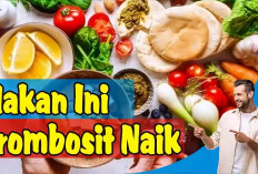 Cara Meningkatkan Kadar Trombosit Dengan Cepat dan Alami, Yuk Simak!