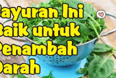 Jenis Buah dan Sayuran Penambah Darah untuk Penderita Anemia