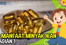 Inilah Beberapa Manfaat Minyak Ikan untuk Kesehatan Tubuh, Terutama untuk Kesehatan Otak dan Jantung