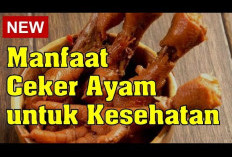 Tinggi Kolagen, Ini Dia Manfaat Ceker Ayam untuk Kesehatan Tubuh