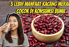 Manfaat Kacang Merah untuk Ibu Hamil, Bisa Buat Mencukupi Kebutuhan Nutrisi Janin