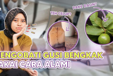 Ini Dia Rekomendasi Obat Gusi Bengkak Alami yang Mudah Didapat