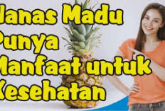 Manfaat Nanas Madu untuk Kesehatan Tubuh