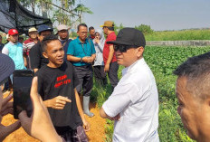 Aspiratif, Walikota Aaf Lanjutkan Pembangunan Tanggul Sungai Pabean Sisi Utara