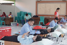 Permintaan Trombosit Meningkat Tajam dalam 2 Bulan Terakhir, PMI Batang Intensifkan Donor Darah sampai Pelosok