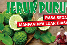 7 Manfaat Jeruk Purut untuk Kesehatan, Ternyata Dapat Melindungi Jantung dan Pembuluh Darah