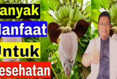 Inilah 6 Manfaat Jantung Pisang untuk Kesehatan Tubuh, Apa Saja?