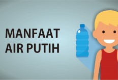 Inilah Manfaat dari Minum Air Putih Ketika Haus bagi Kesehatan, Manfaatnya Jarang Diketahui!