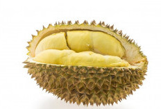 Inilah 4 Golongan Orang yang Tidak Boleh Mengonsumsi Buah Durian, Siapa Saja?