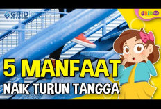 Manfaat Naik-Turun Tangga untuk Kesehatan