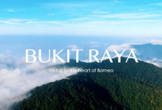 Cocok untuk Menyepi, Mengenal Gunung Bukit Raya dan Jalur Pendakiannya, Gunung Tertinggi di Kalimantan