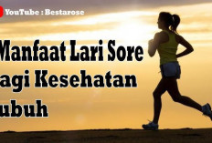 Inilah Manfaat Jogging Sore untuk Kesehatan, Dapat Mengontrol Gula Darah dan Mengurangi Stres