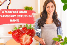 Inilah Manfaat Buah Stroberi untuk Ibu Menyusui