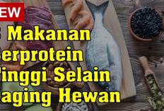 Makanan Berprotein Tinggi dan Jumlahnya Dalam Makanan, Wajib Kamu Konsumsi