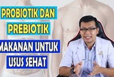 Inilah Macam-macam Probiotik Alami yang Dapat Menyehatkan Usus