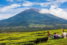 Gunung Berapi Tertinggi di Asia Tenggara Ada di Indonesia, Mengenal Kegagahan Gunung Kerinci