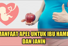 Ini Dia Manfaat Apel untuk Ibu Hamil yang Wajib Diketahui