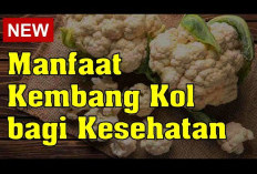 Manfaat Kembang Kol untuk Kesehatan Tubuh, Dapat Menurunkan Berat Badan