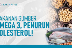 Inilah Daftar Makanan yang Mengandung Omega-3, Ada Kerang Sampai Alpukat