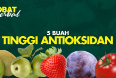 Inilah Buah dengan Kandungan Antioksidan Tinggi yang Baik untuk Tubuh