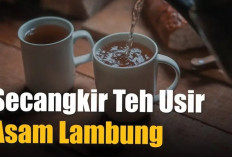 Inilah 7 Jenis Teh Herbal untuk Asam Lambung yang Membuat Sakit Perut Membaik