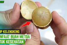 Inilah 6 Manfaat Buah Matoa untuk Kesehatan Tubuh yang Jarang Diketahui Banyak Orang, Apa Saja?