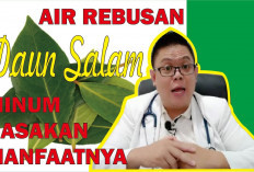 Ini 2 Manfaat Daun Salam yang Baik Untuk Kesehatan, Mau Tahu?