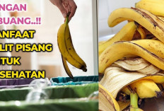 Jangan Lewatkan Manfaat Kulit Pisang untuk Kesehatan Berikut Ini