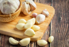 Manfaat Makan Bawang Putih Mentah yang Bisa Mencegah Tumbuhnya Kanker di Dalam Tubuh