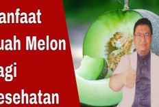 Inilah Khasiat Baik dari Satu Potong Buah Melon Untuk Kesehatan, Mau Tahu?