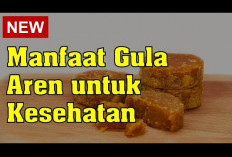 Inilah Manfaat Gula Aren untuk Kesehatan, Dapat Menjaga Kadar Gula Darah