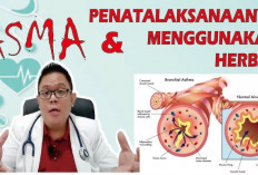 Inilah Obat Herbal Asma Bronkial yang Aman dan Efektif 