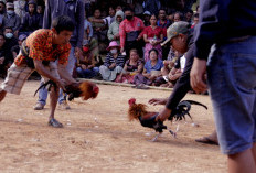 Ampuhnya Ucapan Kyai Jimad, Cerita Rakyat dari Desa Sumub Lor Kecamatan Sragi