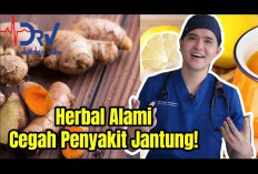 Obat Herbal untuk Jantung dan Efeknya Pada Tubuh yang Penting untuk Diketahui