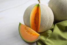 Kandungan dan Manfaat Buah Melon yang Ternyata Baik untuk Kesehatan Tubuh