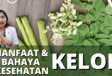 Berikut Khasiat Luar Biasa dari Sup Daun Kelor yang Belum Kamu Tahu, Mau Tahu?