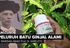 Ini Dia Jenis Obat Penghancur Batu Ginjal yang Bisa Diresepkan Dokter