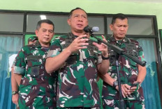 Panglima TNI Bentuk Tim Investigas