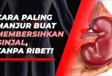 Cara Menjaga Kesehatan Ginjal agar Tetap Sehat