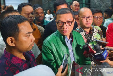 PPP Ajukan Gugatan PHPU Pileg 18 Provinsi karena Suara Hilang