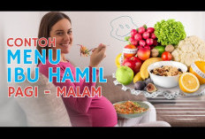 Ini Dia Jenis Makanan yang Harus Ada di Piring Ibu Hamil