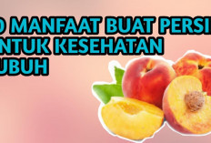 Manfaat Buah Persik untuk Ibu Hamil, Membantu Mengatasi Sembelit dan Kram Pada Kaki