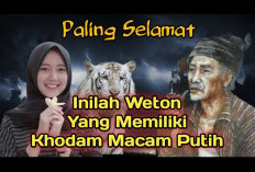 Inilah 2 Weton Sakti dan Dilindungi Khodam Macan Putih menurut Primbon Jawa, Cek Khodam Kamu di Sini!