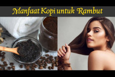 Daftar Makanan untuk Menjaga Kesehatan Rambut dan Membuatnya Bersinar