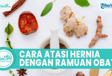 Ini Dia Macam-macam Obat Herbal Hernia yang Efektif yang Aman Digunakan