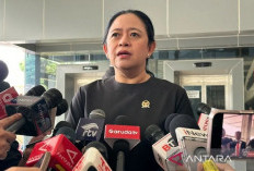 Puan Ingatkan Aturan Baru Pinjol Utamakan Kepentingan Masyarakat