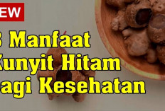 Daftar Manfaat Kunyit Hitam untuk Kesehatan 