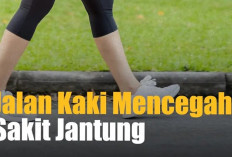 Sederet Manfaat Jalan Kaki yang Mencegah Serangan Jantung di Usia Tua